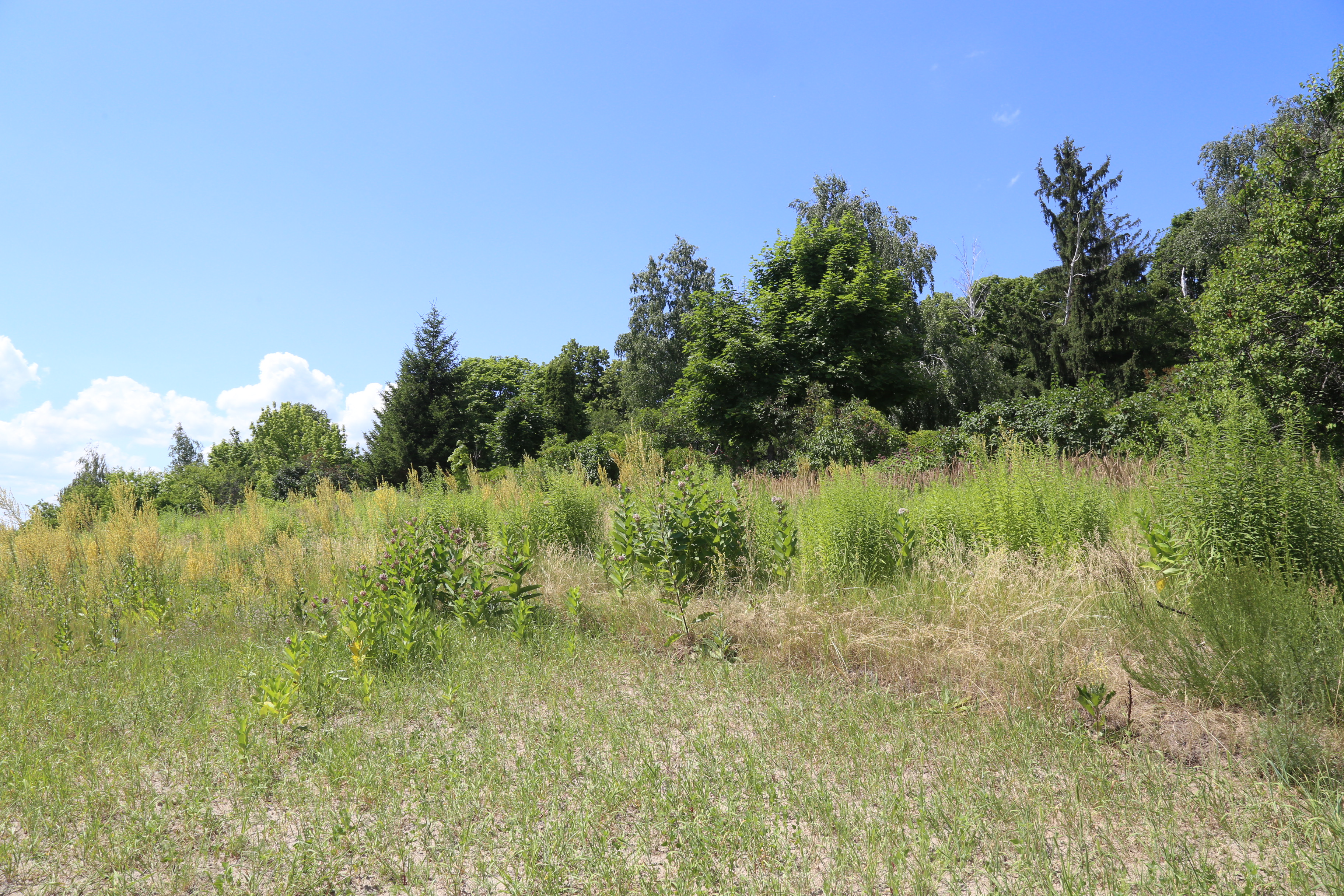 ������� � � ղ ��.